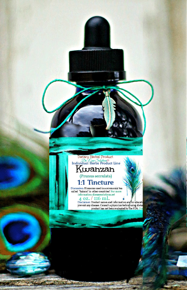 Cherry - Kwanzan Blossoms