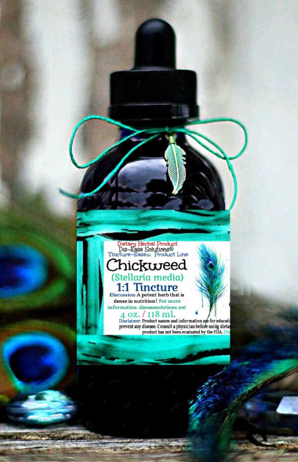 Chickweed