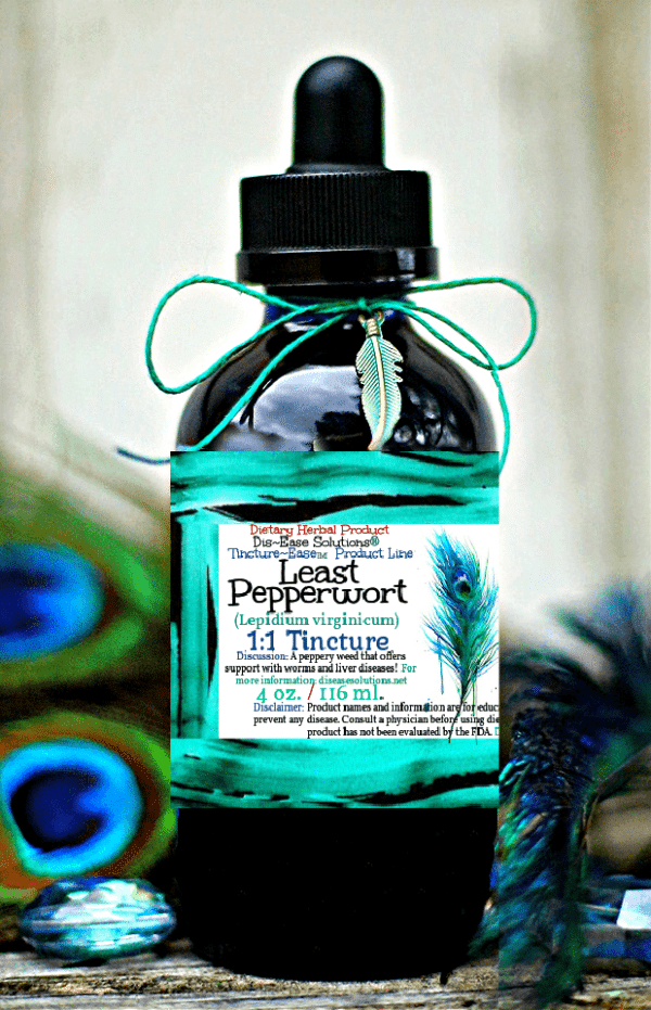 Least Pepperwort