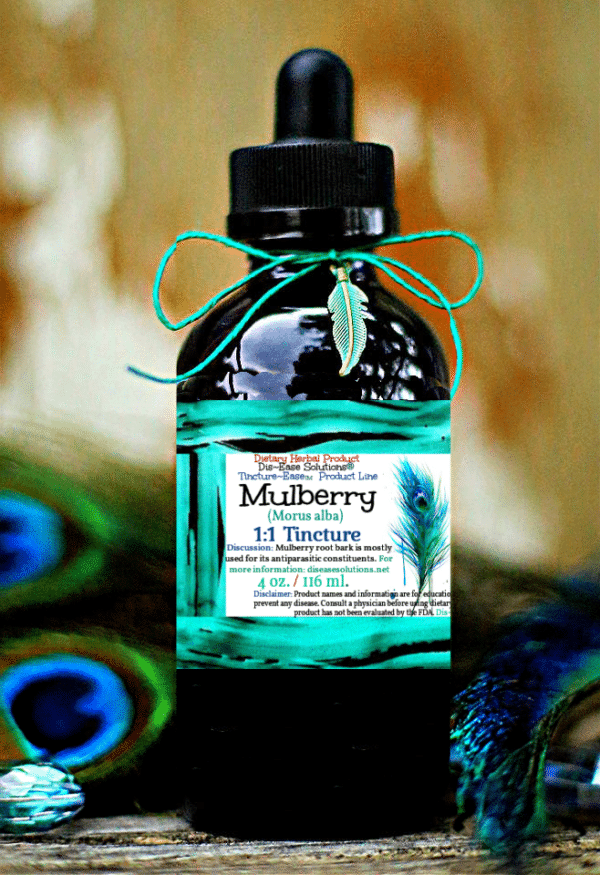 Mulberry