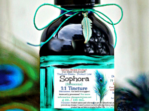 Sophora