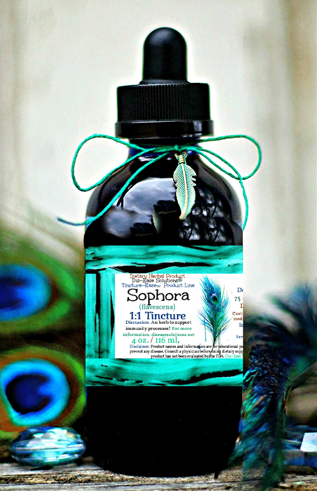 Sophora