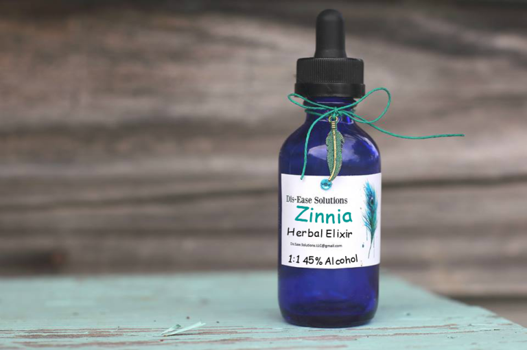 Zinnia