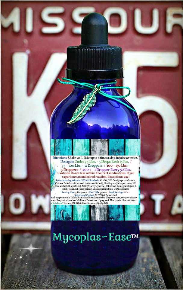 Mycoplas~Ease™ Herbal Blend - Image 2