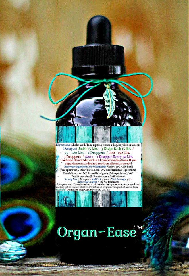 Organ~Ease™ Herbal Blend - Image 2