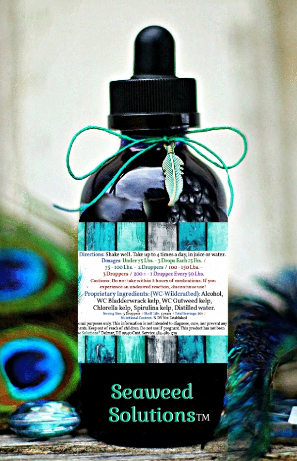 Seaweed Solutions™ - Image 2