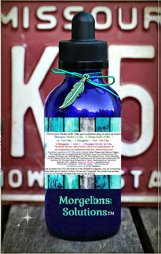 Morgellons Solutions™ Botanical Fusion - Image 2