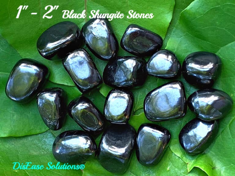 Shungite