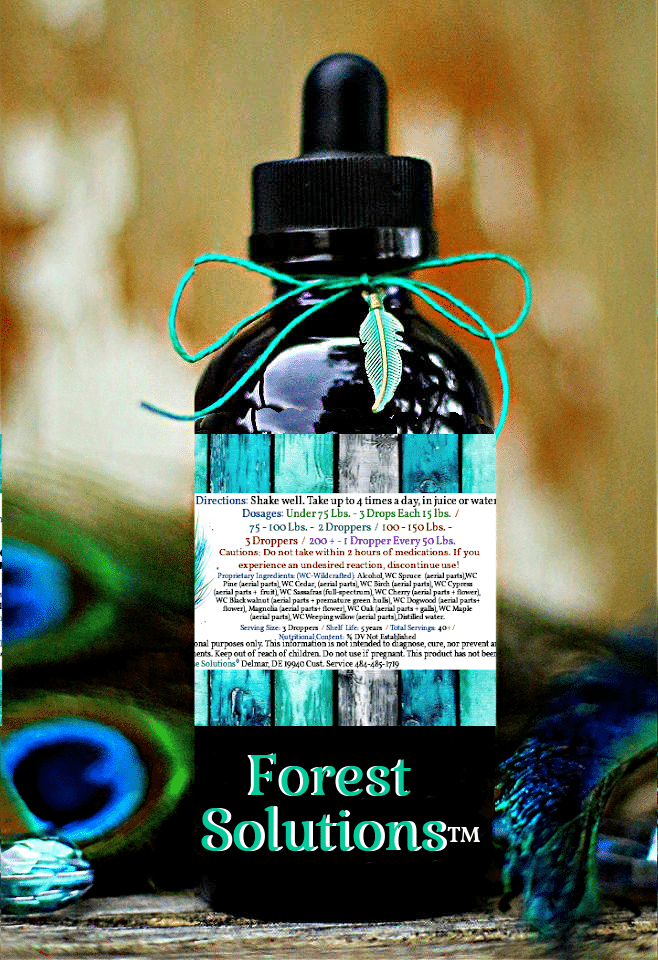 Forest Solutions™ Herbal Blend - Image 2