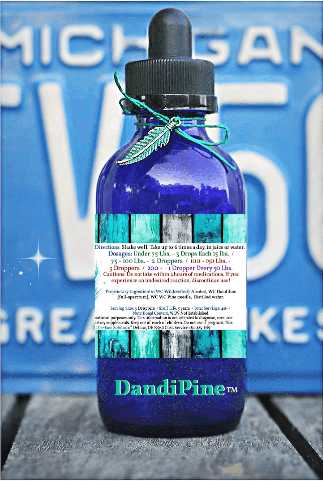 DandiPine™ - Image 2