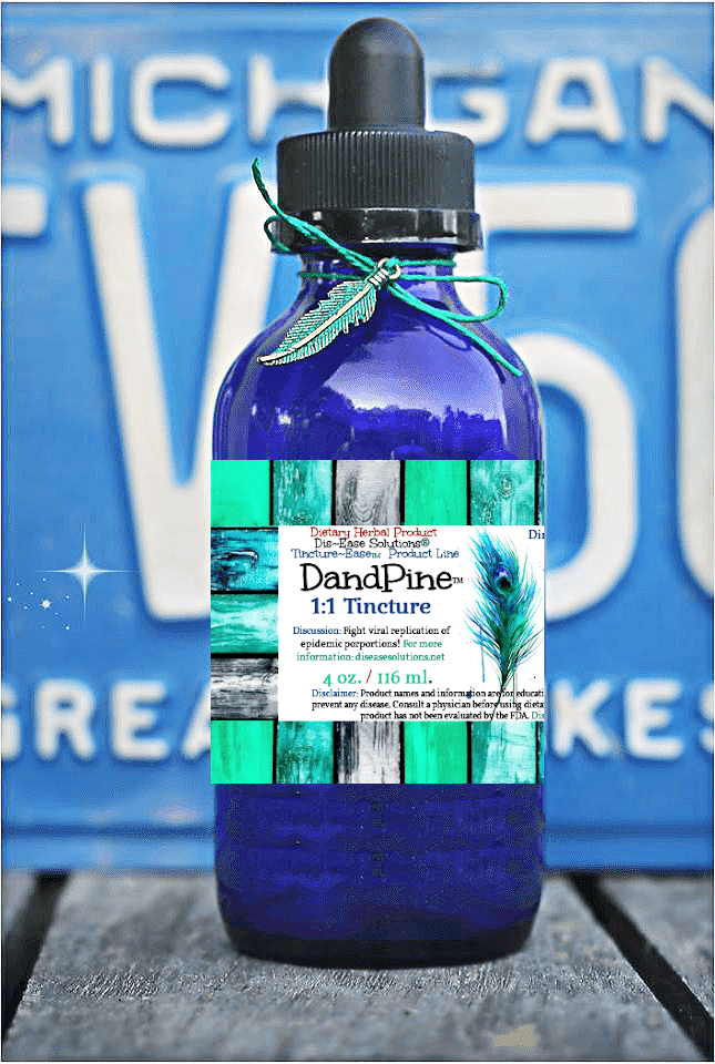 DandiPine™