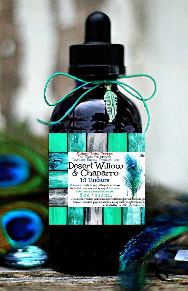 Desert Willow & Chaparro Amargosa