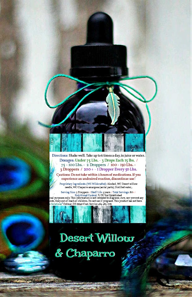 Desert Willow & Chaparro Amargosa - Image 2