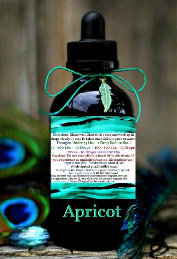 Apricot Kernel - Image 2