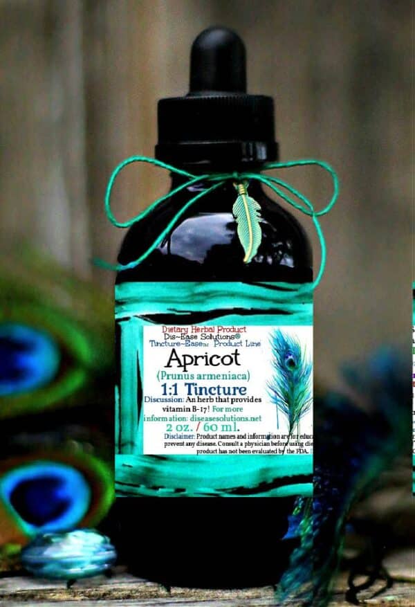 Apricot Kernel