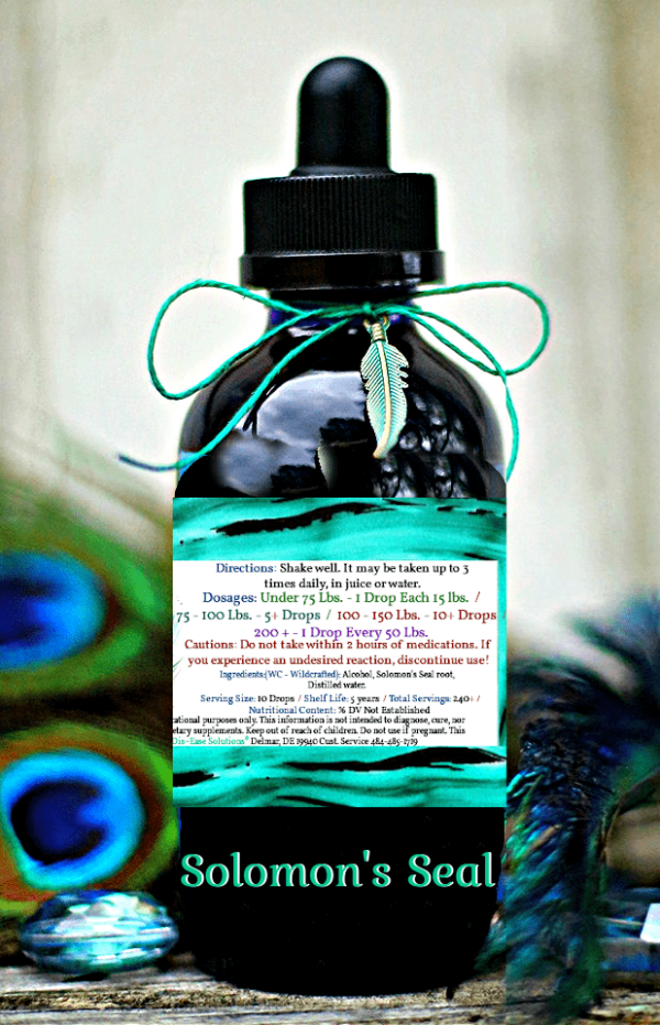 Solomon's Seal - Image 2