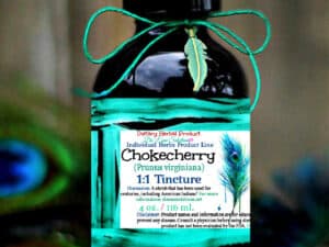 Cherry - Chokecherry "Wild Cherry"